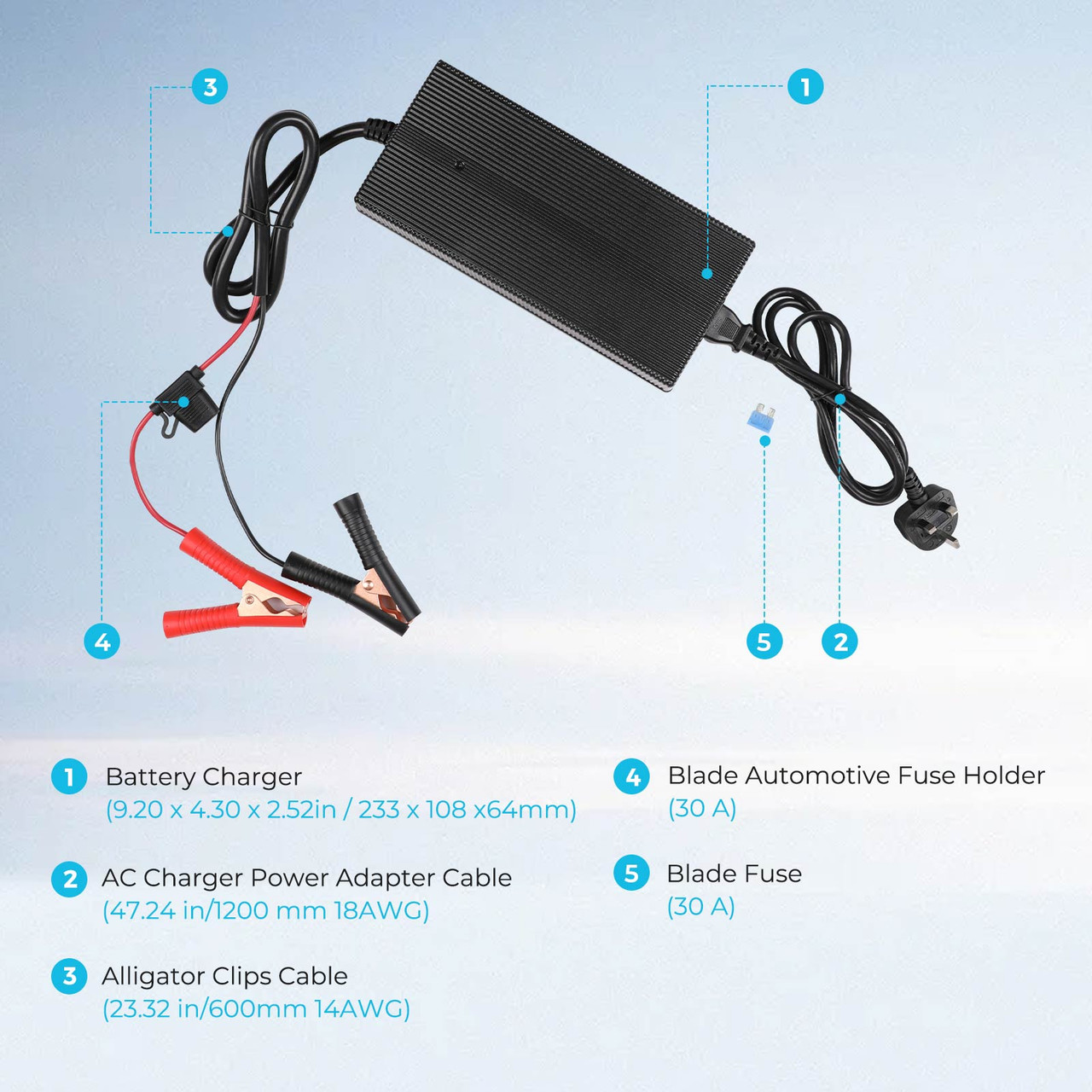 20A 240V AC to DC Lithium Iron Phosphate Battery Charger - Image 5